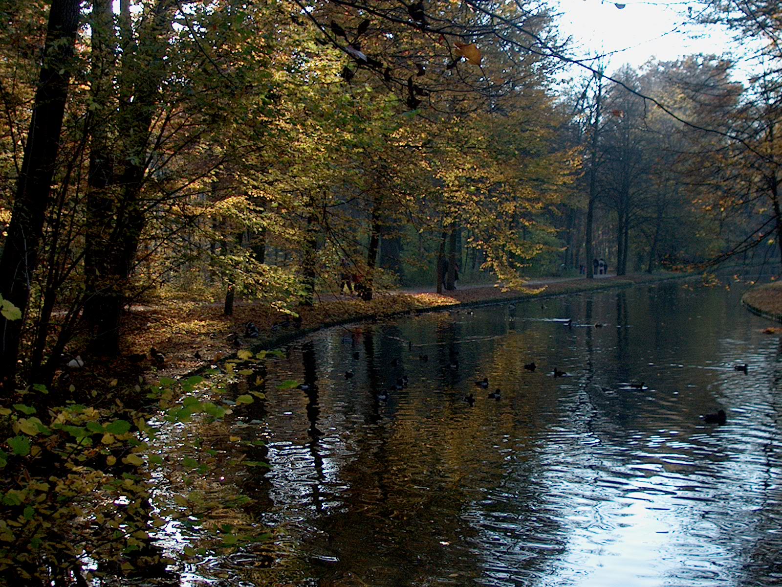 Nyphenburger Park 040 